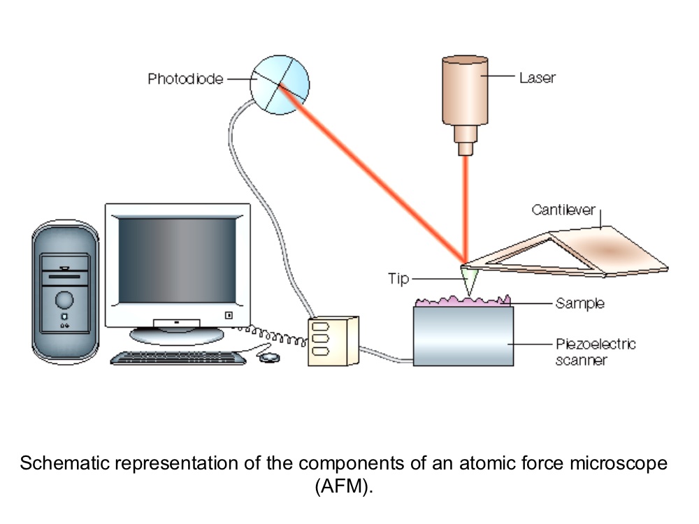 AFM_diagram
